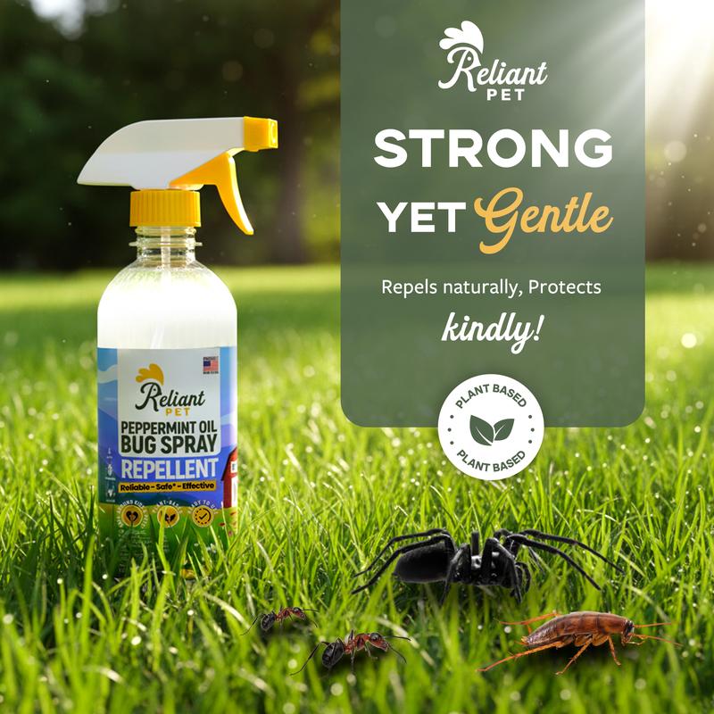 Pet Peppermint Oil Bug Spray