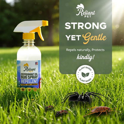 Pet Peppermint Oil Bug Spray